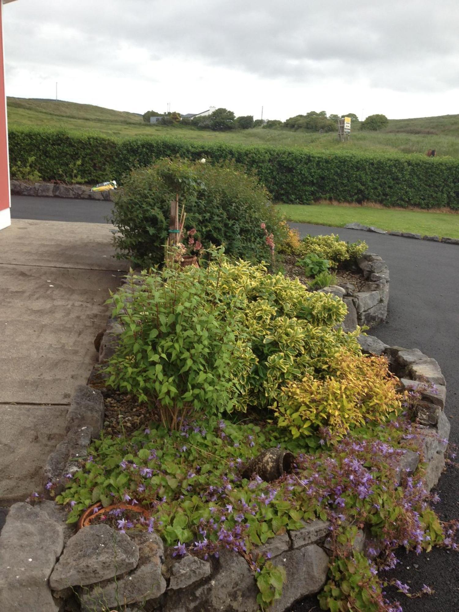 Greenlawn Lodge Lisdoonvarna Exterior foto